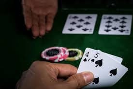 Dealer profesional seroja88